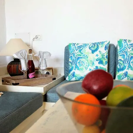 Bougainvillea Bamira Maspalomas (Gran Canaria)